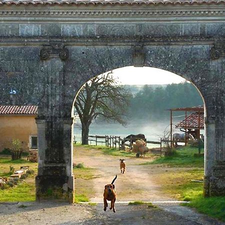 Domaine De Chantemerle B'Nb Marsac  Bagian luar foto