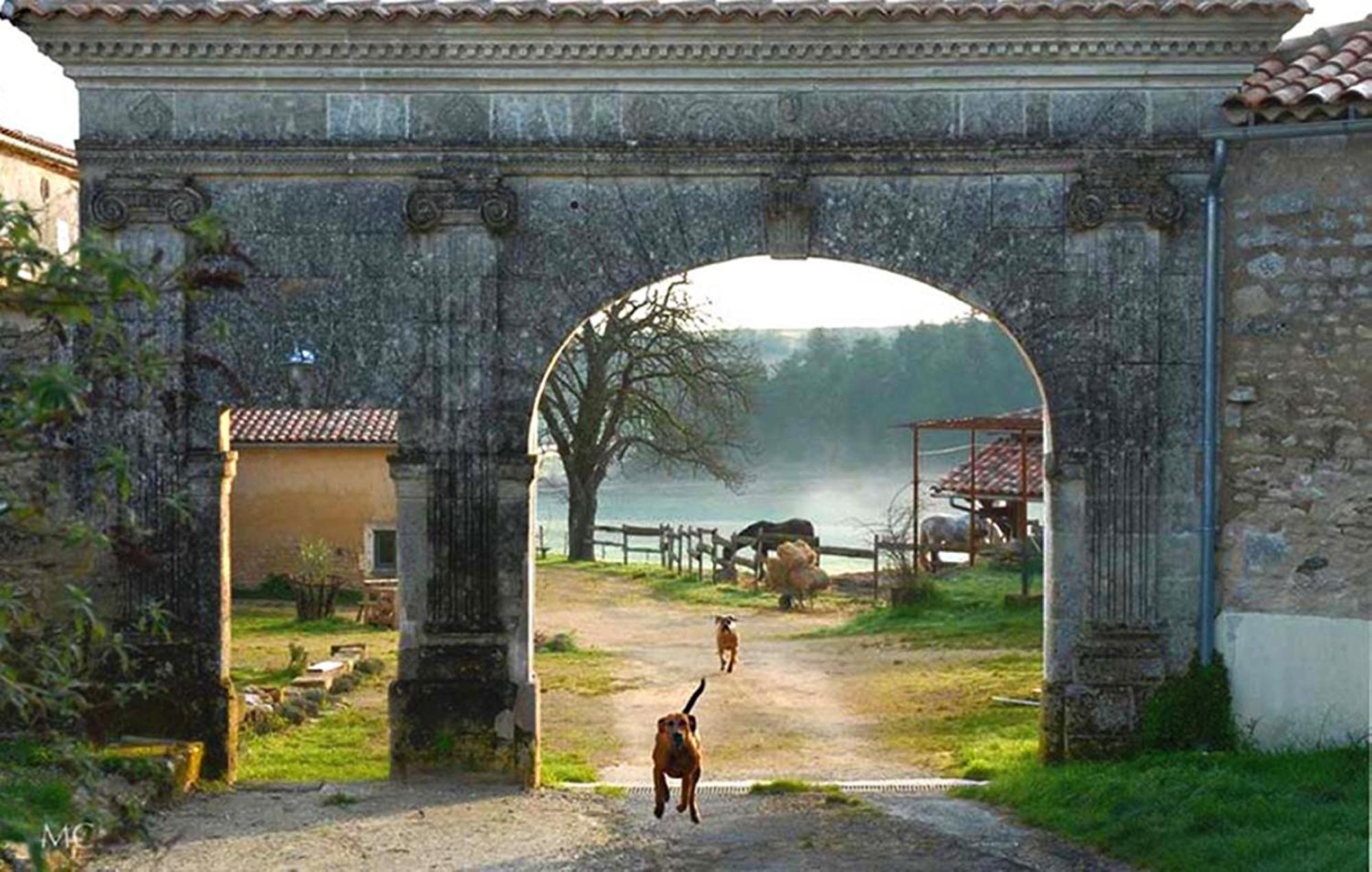 Domaine De Chantemerle B'Nb Marsac  Bagian luar foto